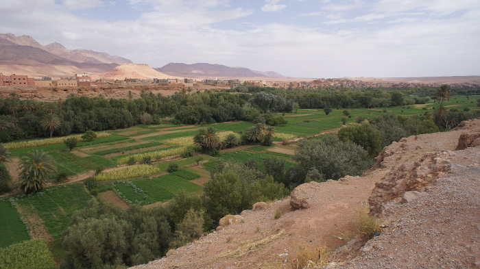 oaza na południu Maroka